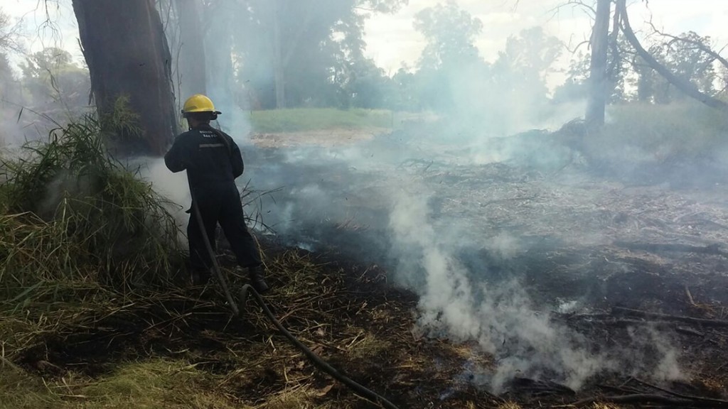 Bomberos Voluntarios Pastizales