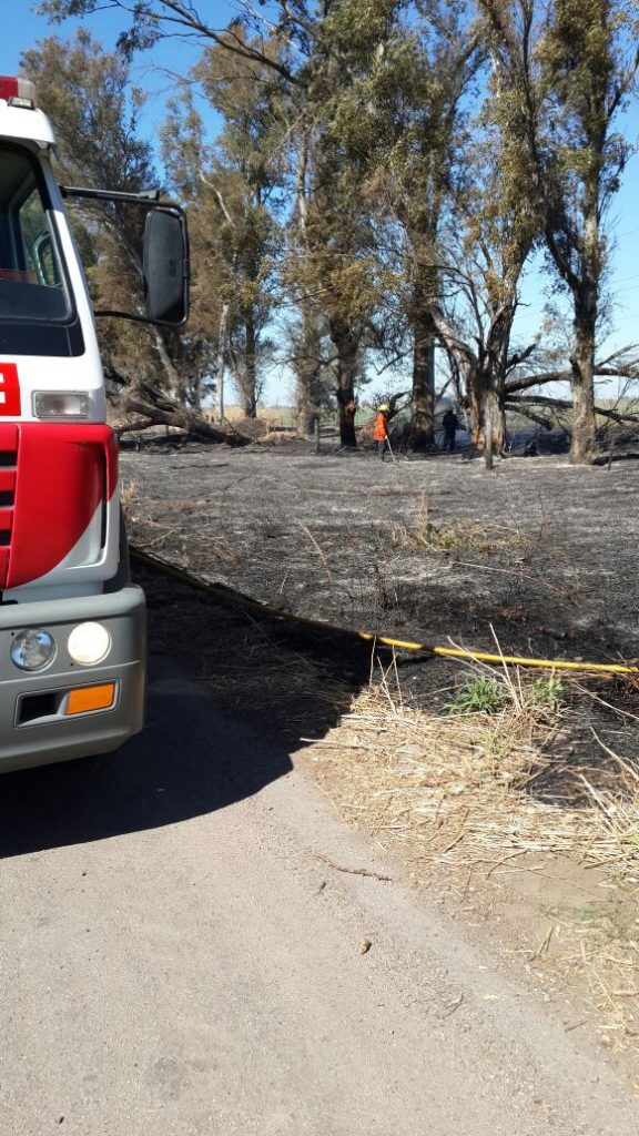 Incendio Pastizales