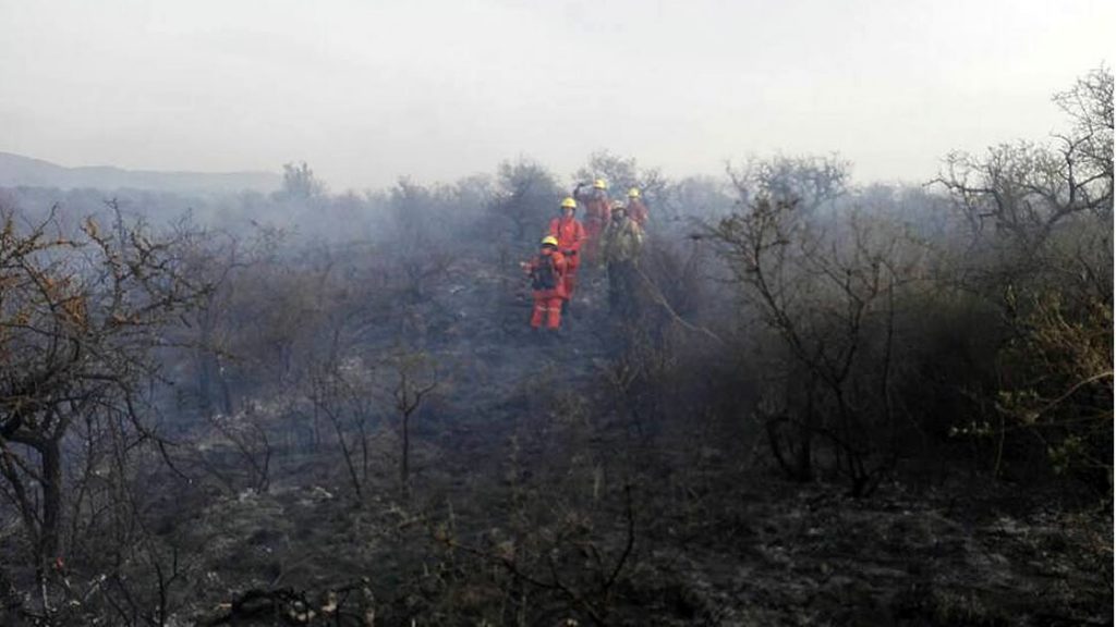 Bomberos en las sierras 2