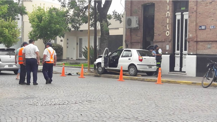 El automóvil detuvo su marcha contra el árbol