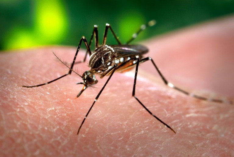 Hay dos muertos por dengue en Balnearia y Marull