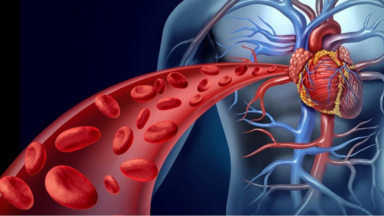 HOPE 3, qué dice el estudio que propone un método simple y barato para prevenir enfermedades cardiovasculares y ACV