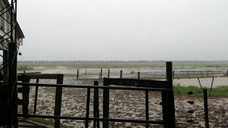 Las lluvias siguen agravando el panorama en zona rural de Sunchales
