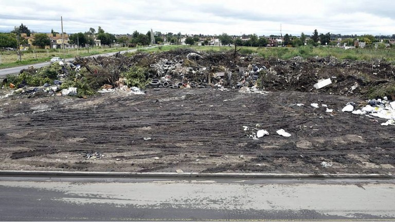Sortean 565 lotes entre 15.650 habilitados