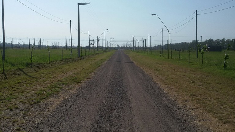 Habrá 100 lotes del plan “LoTengo” en la ciudad
