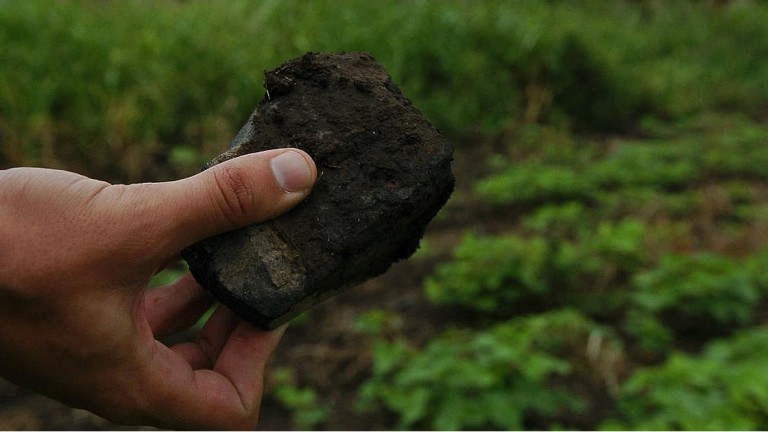 Plomo: científicos estudian cómo limpiar este metal de los suelos cordobeses