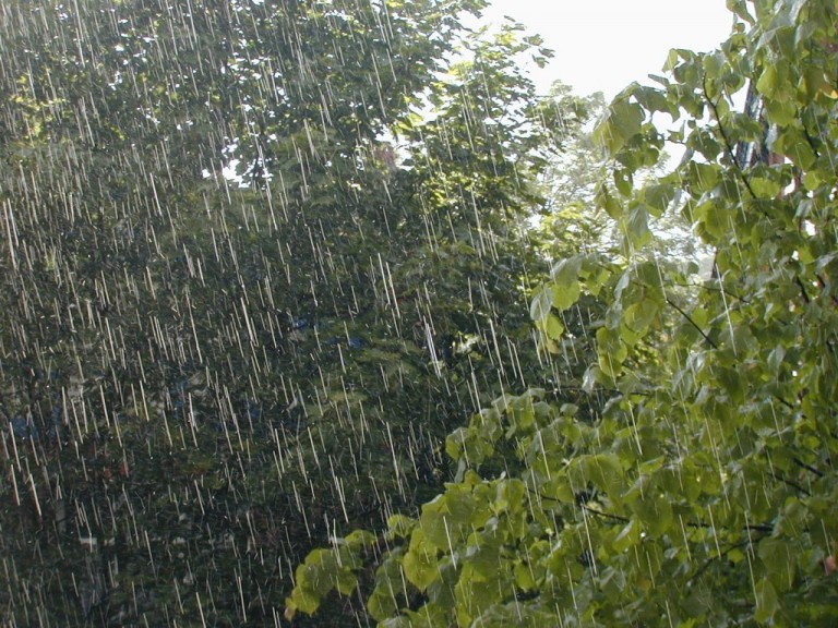 Copiosa lluvia en la ciudad y la región