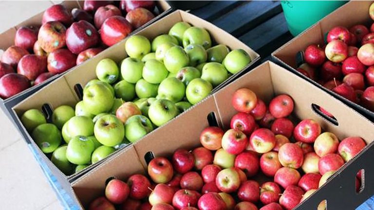 Consumidores alertan por fuertes subas de precios en frutas y verduras