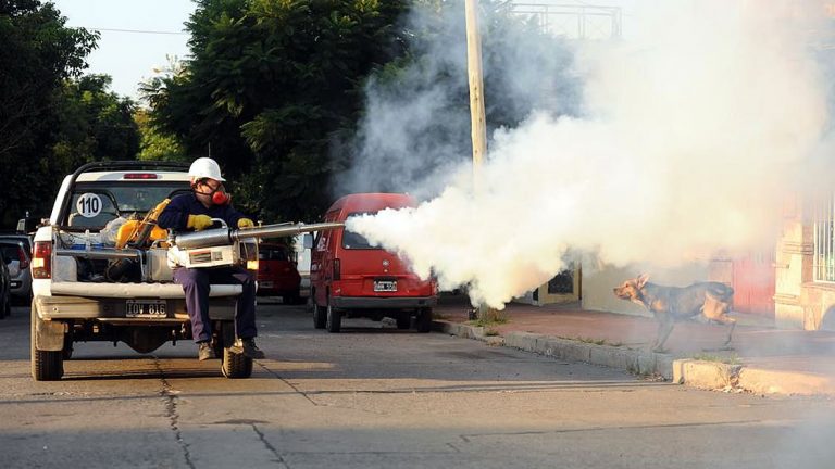 Fumigación y consejos para prevenir el dengue