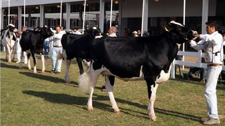 Morteros tendrá su 15° edición de la Muestra Internacional de Lechería (MIL)