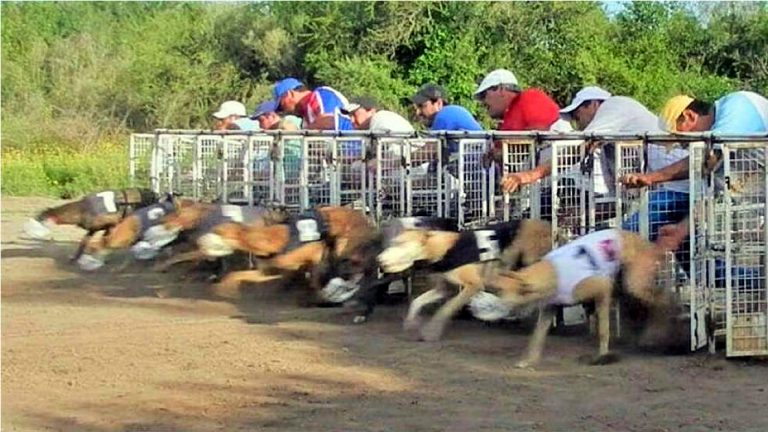 Policía desactivó carrera de galgos en Villa Concepción del Tío