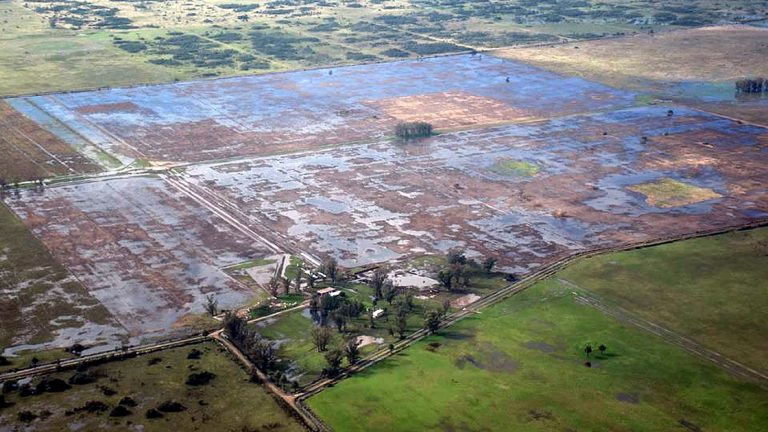 Santa Fe prorrogará la emergencia agropecuaria por 180 días