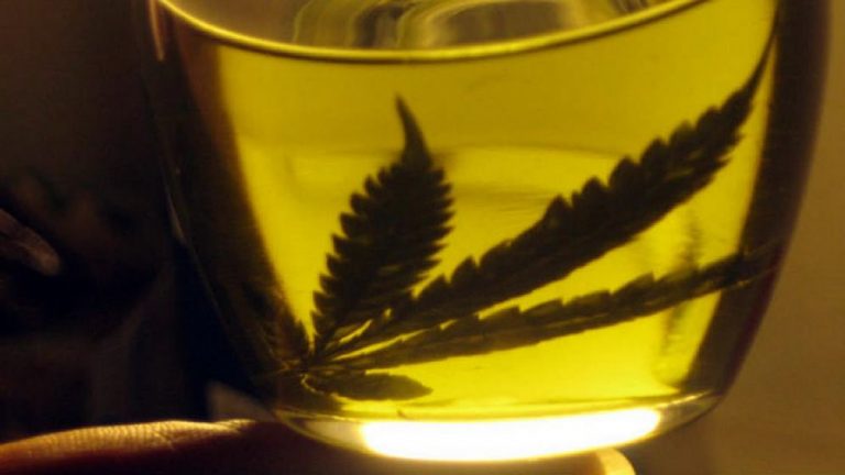 Se convirtió en ley el proyecto sobre desarrollo del Cannabis medicinal