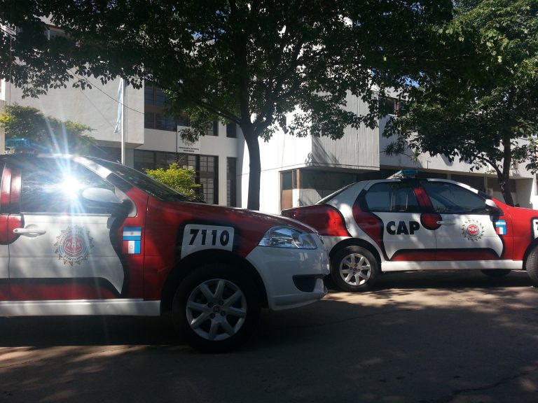 Morteros: robó lechones en un campo junto con su nene