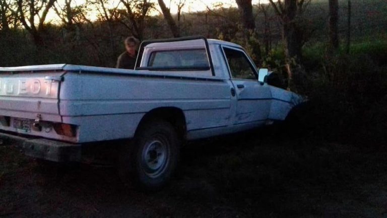 Brinkmann: una camioneta perdió el control e impactó con un árbol