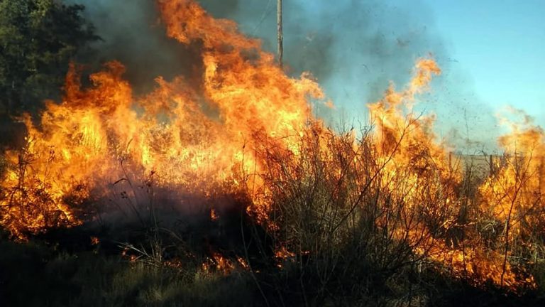 Los bomberos tuvieron mucha actividad este sábado