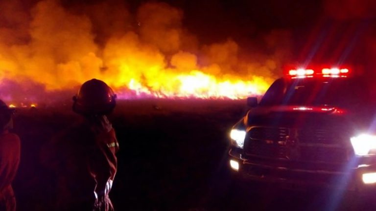 Incendio afecta campos en la zona de Devoto