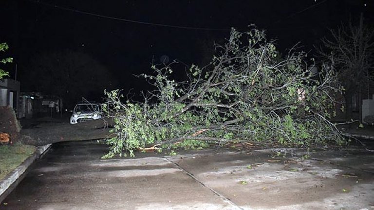 Fuerte viento en Devoto: Una familia evacuada