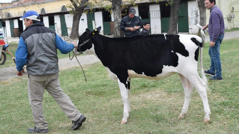 Se llevará a cabo el primer remate del año en la Rural de nuestra ciudad