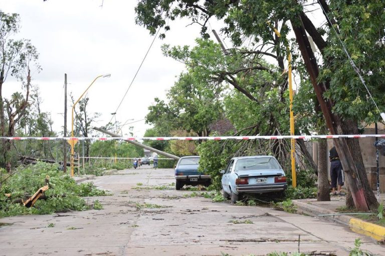 Habilitaron espacios para llevar ramas y troncos tras el temporal