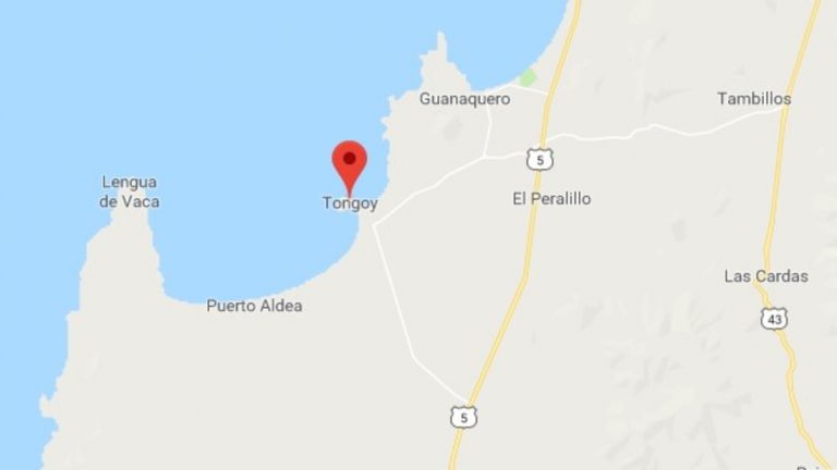 Un fuerte sismo sacudió la costa central de Chile y también se sintió en Argentina