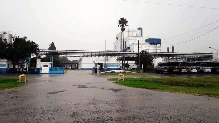 «En 6 meses los 110 trabajadores estarían trabajando a pleno»