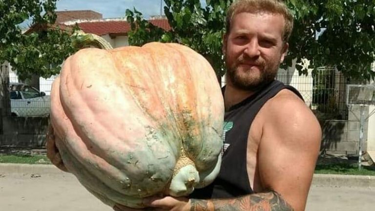 Vecino de Arroyito cosechó un zapallo de 40 kilogramos en el patio de su casa