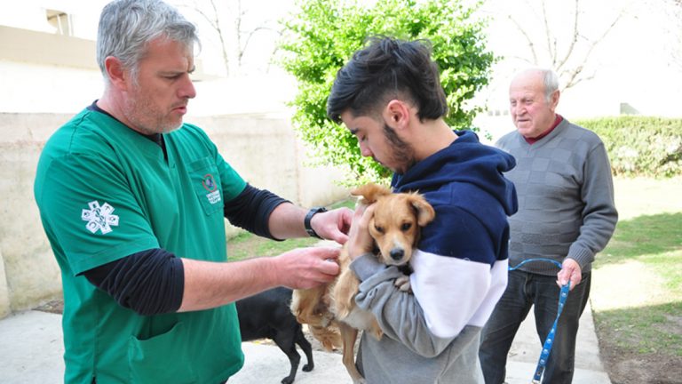 Ya son más de 700 mascotas vacunadas contra la rabia