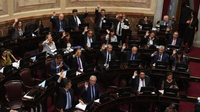 Por unanimidad, el Senado convirtió en ley la Emergencia Alimentaria