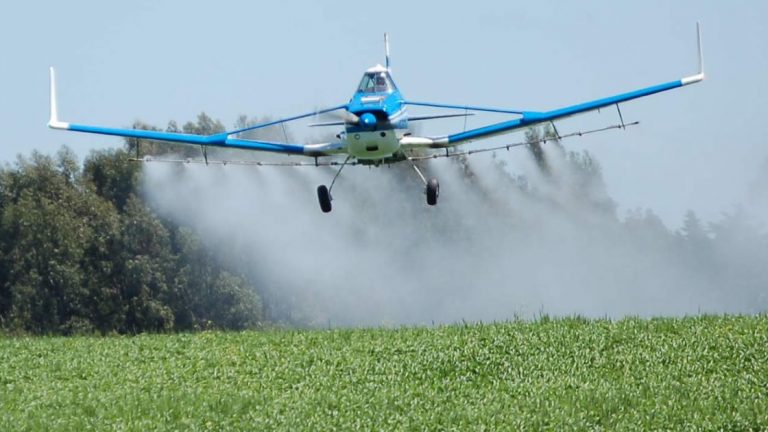 Confirman los 1000 metros libres de fumigaciones en Zenón Pereyra