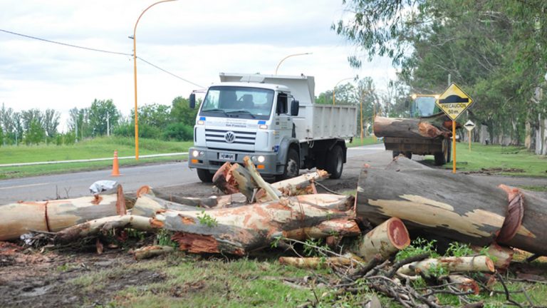 Trabajos de limpieza tras la tormenta
