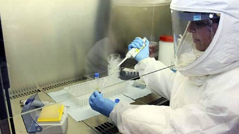 Coronavirus: Confirman 40 muertes y 4231 nuevos contagios en las últimas 24 horas