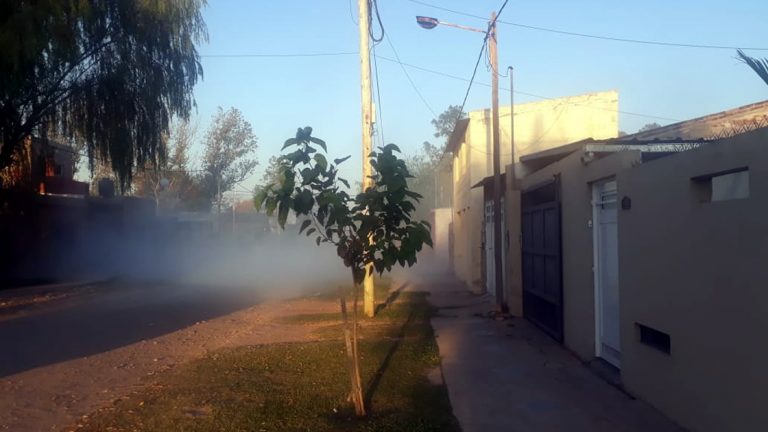 Frontera: La municipalidad fumiga casa por casa