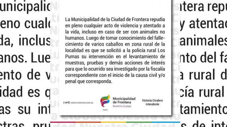 Frontera: Investigan muerte de caballos en zona rural