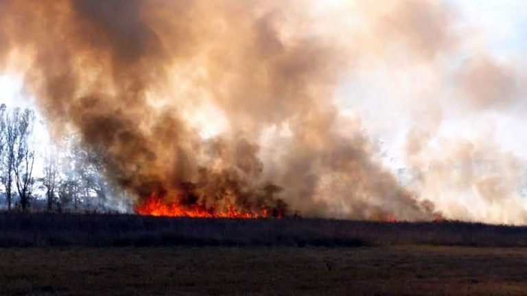 Importante incendio de pastizales en la zona norte de la ciudad
