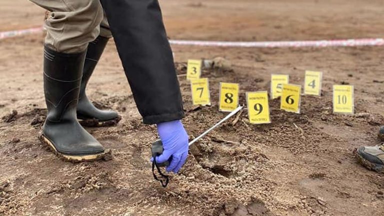 Morteros: Hallaron parte del caparazón de un gliptodonte