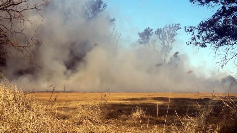 Bomberos trabajó en incendio de pastizales