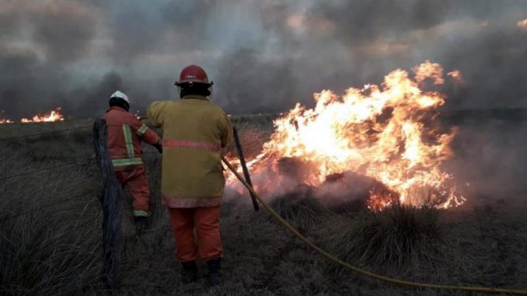 Incendios en Córdoba: en 2021 se quemaron 66 mil hectáreas y el acumulado de 20 años llega a 1,5 millones