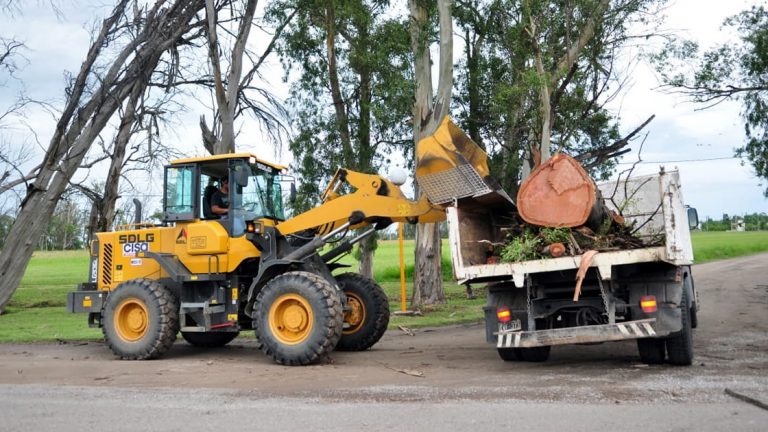 El municipio remueve y extrae ejemplares secos en accesos a la ciudad