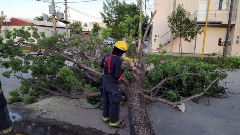 El viento trajo algunas complicaciones, bomberos intervino en 4 siniestros