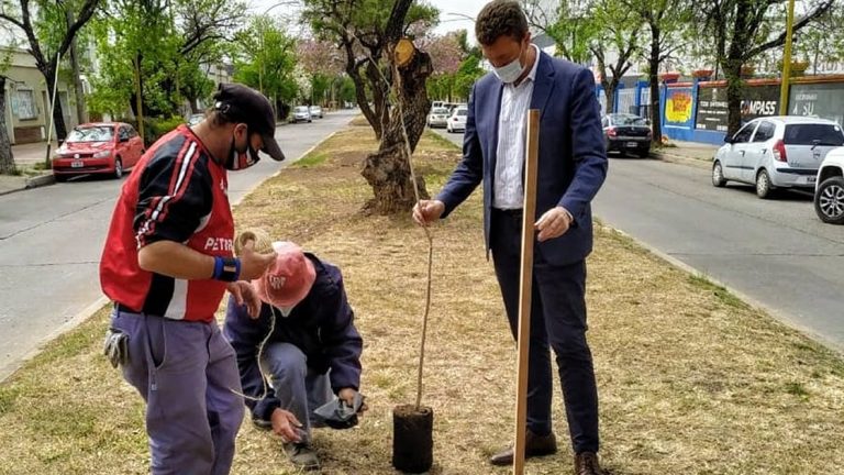 El intendente supervisó trabajos de forestación en la ciudad