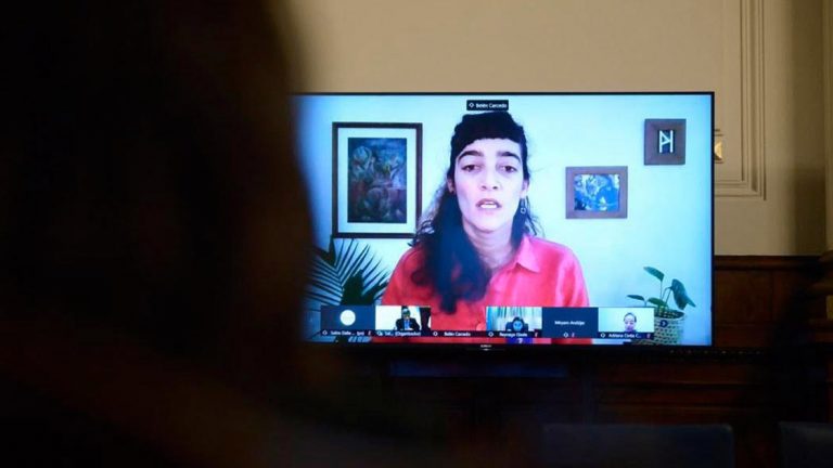Aborto legal: intenso debate sobre si es el momento de discutirlo