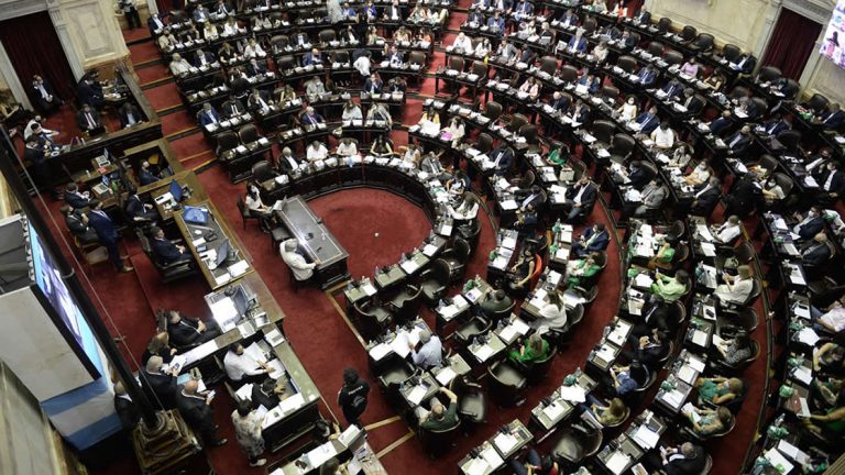 En vivo: Diputados debate en el recinto la Interrupción Voluntaria del Embarazo
