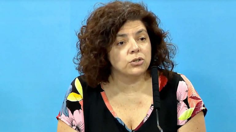 Vizzotti: «Si bien los casos se desaceleraron, seguimos con un número alto de contagios»