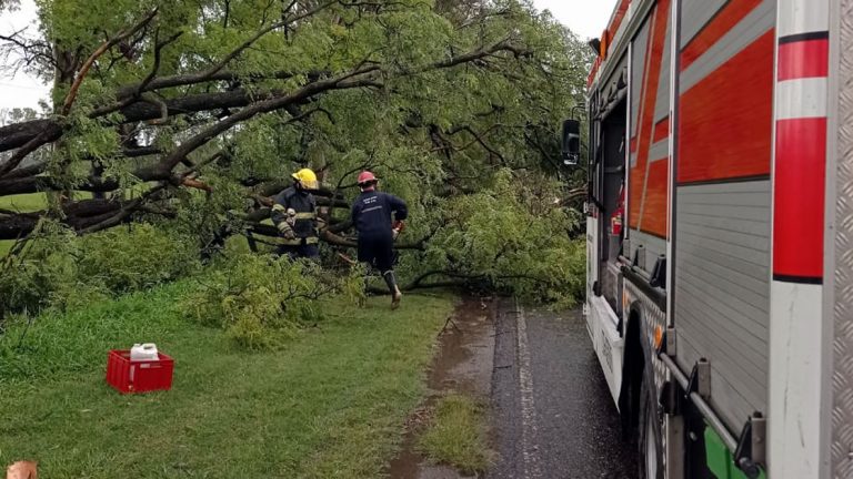 Fuerte temporal afectó a la ciudad durante la siesta