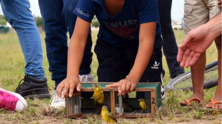 Policía Ambiental liberó más de 120 aves silvestres en Arroyito y El Tío