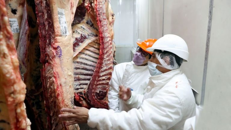 Carne: continúan las tensiones entre Nación y parte del sector