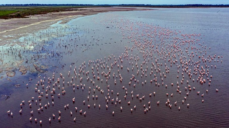 VIDEO – Laguna Mar Chiquita: un emblema color rosa con acento cordobés