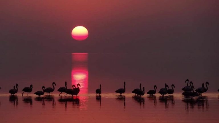 La laguna Mar Chiquita camino a recibir el máximo estatus de conservación ambiental