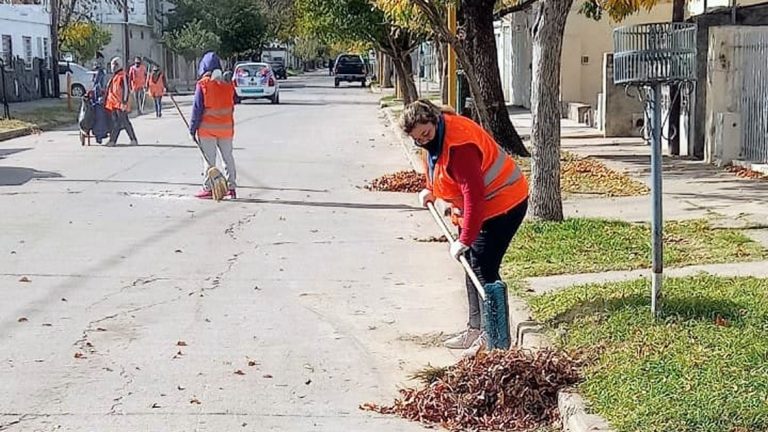Campaña Hojarasca 2021: El municipio continúa con los trabajos de recolección de hojas en la ciudad